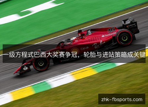 一级方程式巴西大奖赛争冠,轮胎与进站策略成关键 一级方程式巴西大奖赛争冠,轮胎与进站策略成关键